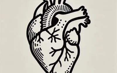 Heart Toxicity
